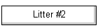 Litter #2