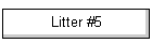 Litter #5